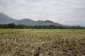 KASHMIR-SRINAGAR-HIGH TEMPERATURES-WATER SHORTAGE