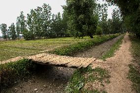 KASHMIR-SRINAGAR-HIGH TEMPERATURES-WATER SHORTAGE