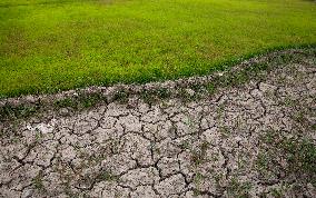 KASHMIR-SRINAGAR-HIGH TEMPERATURES-WATER SHORTAGE