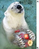 Polar bear takes an ice break at sizzling Osaka zoo
