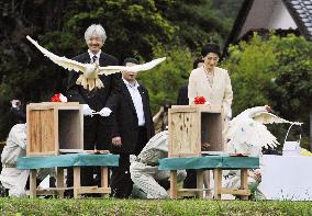 10 artificially bred crested ibises released into wild in Japan