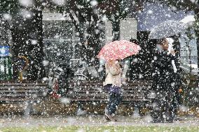Season's 1st snow observed in Sapporo