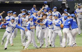 Seibu captures Japan Series title