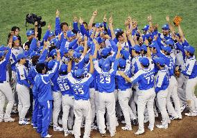 Seibu captures Japan Series title