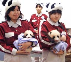 Panda twins at Wakayama zoo named Meihin, Eihin
