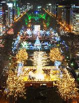 Trees, objects in Sapporo's main downtown area lit up