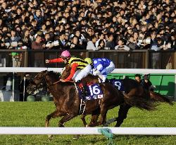 Screen Hero steals show for Japan Cup win