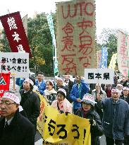 Japanese farmers protest steep farm tariff cuts at WTO