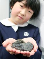 9-year-old girl discovers fossil of new species of lobster