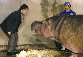 Yankees' Matsui meets with Japan's oldest hippopotamus