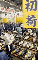 Tuna sold for 9.6 mil. yen at 1st auction in Tokyo