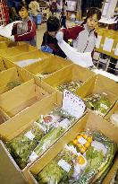 Exports of Japanese vegetables, fruits on rise