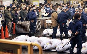 Tokyo's Tsukiji fish market readmits sightseers to tuna auctions