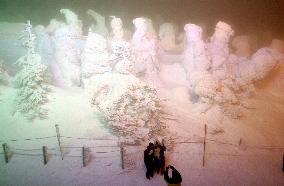 Trees covered with snow and ice in Yamagata