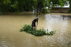 INDIA-ASSAM-FLOOD