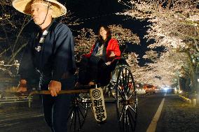 Sightseeing rickshaw attracts cherry blossom viewers