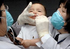 S. Korean woman 'strongly suspected' of swine flu infection