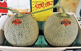 Pair of Yubari melons sold for 500,000 yen
