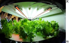 State-of-the-art veggie lab shown to press at industry ministry