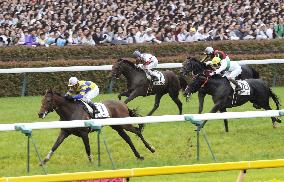 Logi Universe nails victory in Japanese Derby
