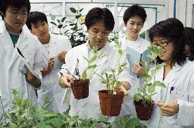 College course to train 'plant doctors' attracting students