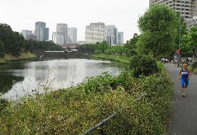 Tokyo cleaning up Imperial Palace moats amid Olympic bid