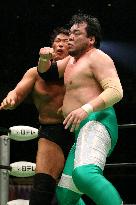 Pro wrestler Misawa dies from blow to head during match