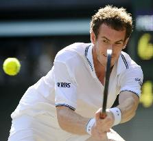 Roddick marches into final at Wimbledon