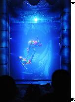 Audience treated to 'cool' Kabuki performance