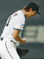 Fighters' Darvish takes 13th win