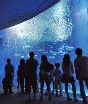 People treated to nocturnal aquarium show