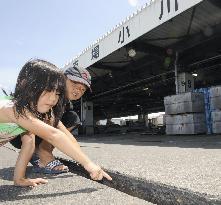 Shizuoka pier damaged by quake
