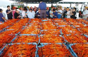 Red queen crabs at season's 1st auction in Japan