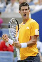 Djokovic advances to semifinals at U.S. Open tennis