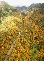 Leaves turn red and yellow on Mt. Tokachi in Hokkaido