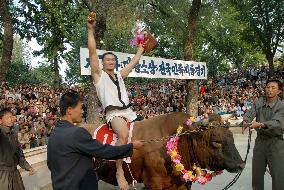1-ton bull given to winner of wrestling tourney in N. Korea
