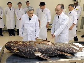 Emperor Akihito inspects Coelacanth