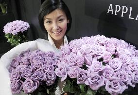 Suntory to put 'world's first' blue roses on sale in Japan