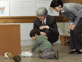 Prince pets a guinea pig