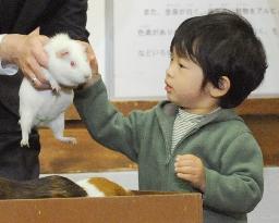 Prince pets a guinea pig