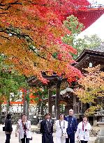 Leaves turn to autumn colors at Mt. Koya