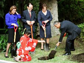 Cherry saplings presented to Mexico
