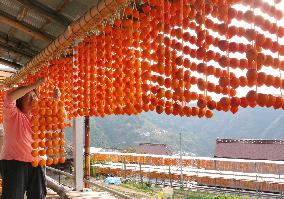 Strings of dried persimmons hung under eaves