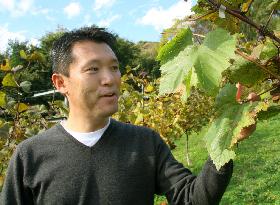 Yamanashi native carrying out vision of wine tourism on home turf