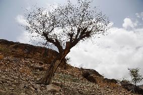 YEMEN-SANAA-DROUGHT-LAKE