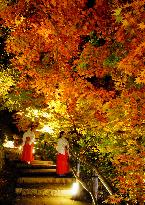 Autumn colors at Kyoto shrine