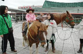 Horses greet tourists at Japan airport