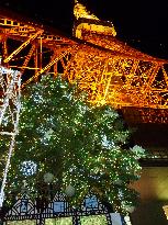Eco-friendly LEDs illuminate Tokyo's Christmas season