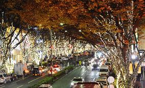 Fashionable Tokyo streets illuminated