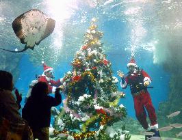 Christmas tree at aquarium in Fukui Pref.